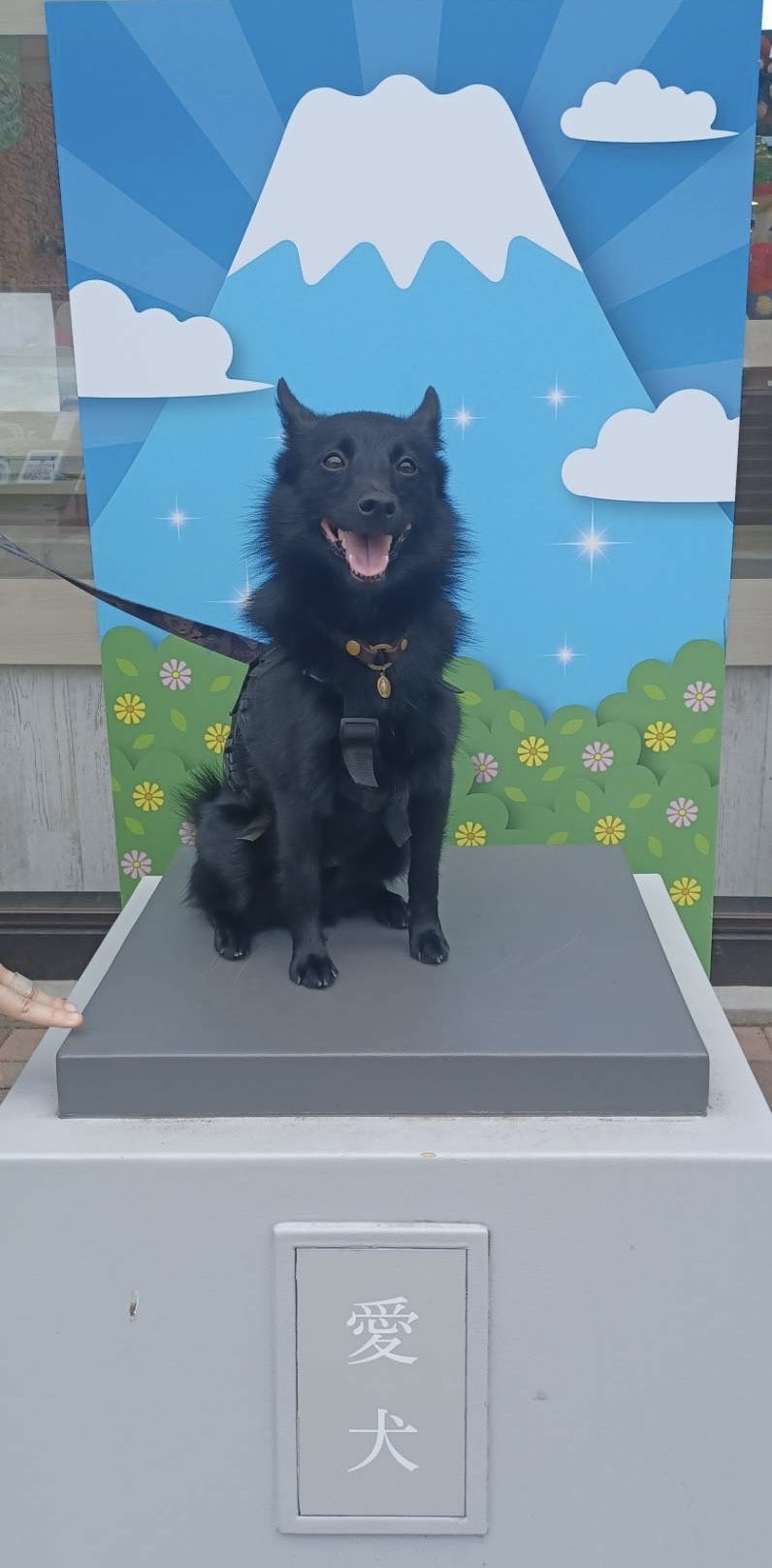 XAJEgE(@u_sin)̈Err(ʐ^X) 