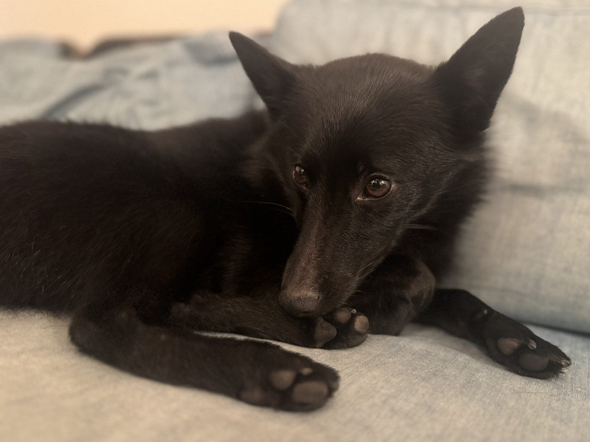 XAJEgE(@u_sin)̈Err(ʐ^X) 