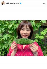 {qu䂪Ƃ̃S[N̎nł #΂̃J[ev (ʐ^̓CX^O @akkotongattelne ) 