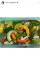 {qŎnS[ōsNX (ʐ^̓CX^O @akkotongattelne ) 