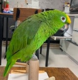 �F���N�₩�ɂȂ�A�H���Y��ɐ������������݂̂����邿���(@n.miki0115���) 