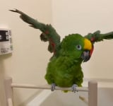 �H���Ƃ���ǂ��딲�������Ă���3�N�O�̂����邿���(@n.miki0115���) 