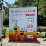 �w���ǂ��C���x�͑�l��+7�� (C)oricon ME inc. 