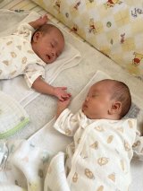 �o�q�Z��(@rinokuniko���) 