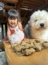 AfJƃPJ3Ώ(摜:@chouchou_the_g) 