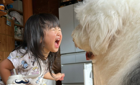 �u���Ő���Ă�v�f�J�����ƃP���J����3�Ώ����i�摜�񋟁F@chouchou_the_g�j 