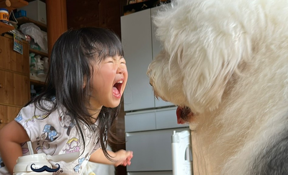 uŐĂvfJƃPJ3Ώ(摜:@chouchou_the_g) 