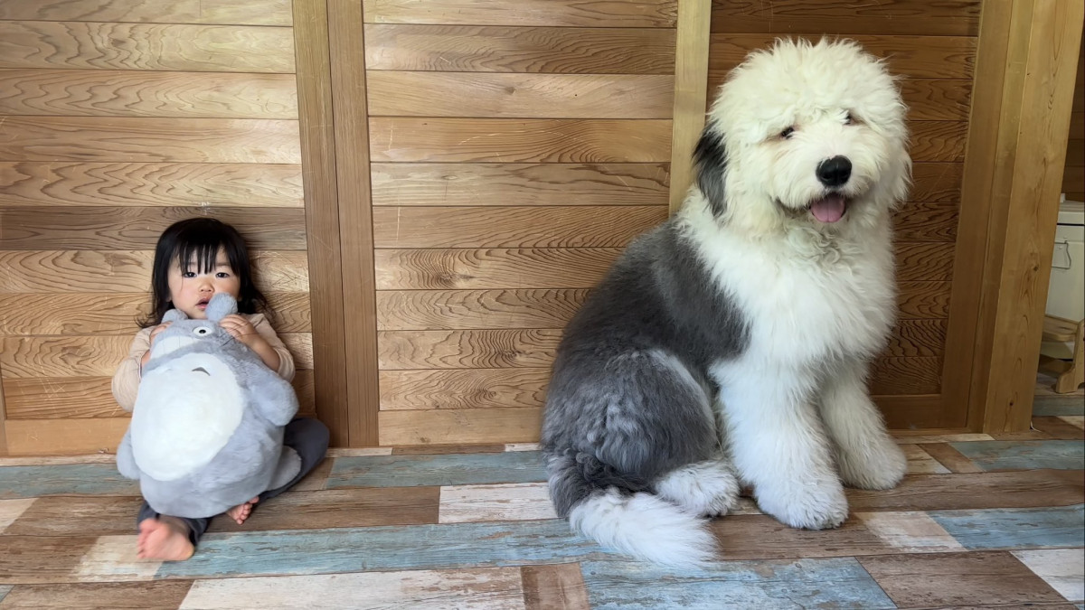 XAJEgE@chouchou_the_g̈EނނƖ̂̂(ʐ^X) 