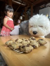 XAJEgE@chouchou_the_g̈EނނƖ̂̂(ʐ^X) 