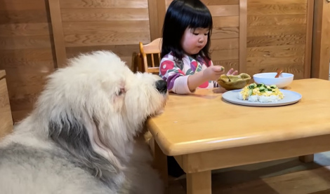 X�A�J�E���g�E@chouchou_the_g����̈����E�ނ��ނ�����Ɩ��̂�̂����i�ʐ^��X���j 