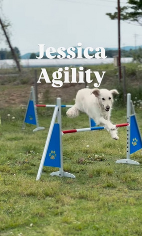 �����x�@���Ƃ��Ċ�������S�[���f�����g���o�[�̂����������i��jessica_u._.u���j 