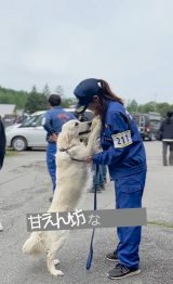 �����x�@���Ƃ��Ċ�������S�[���f�����g���o�[�̂����������(@jessica_u._.u���) 