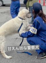 �����x�@���Ƃ��Ċ�������S�[���f�����g���o�[�̂����������(@jessica_u._.u���) 