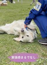 �����x�@���Ƃ��Ċ�������S�[���f�����g���o�[�̂����������(@jessica_u._.u���) 