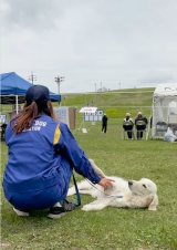 �����x�@���Ƃ��Ċ�������S�[���f�����g���o�[�̂����������(@jessica_u._.u���) 