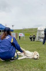 �����x�@���Ƃ��Ċ�������S�[���f�����g���o�[�̂����������(@jessica_u._.u���) 