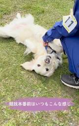 �����x�@���Ƃ��Ċ�������S�[���f�����g���o�[�̂����������(@jessica_u._.u���) 