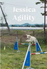 �����x�@���Ƃ��Ċ�������S�[���f�����g���o�[�̂����������(@jessica_u._.u���) 