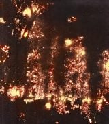 8��1�������w�~�蒍�����e�̉��� �`���C�E�k���̑����m�푈�`�x�C���[�W�J�b�g (C)NHK 