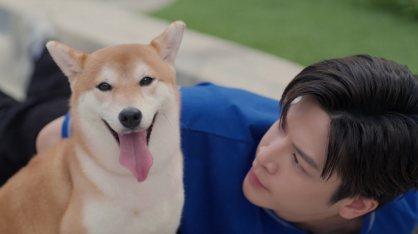 �wDating Game�`�������Ă������ł����A�{�X!?�`�x�iC�jdatinggame2025 