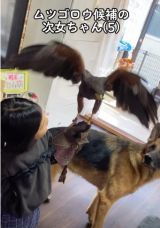 �܂�Łu�鏠�v�̂悤�Ȏ��������!(�摜��@second.peace.0707) 