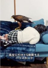 �����񂽂��ɂ��Ȃ��Ă���L�[������(�摜��@second.peace.0707) 