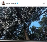 󌩂ꂢȁuXŃTEiBBĂ܂܂v(ʐ^̓CX^O @reina_asami ) 