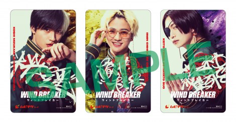 �f��wWIND BREAKER�^�E�B���h�u���C�J�[�x���r�`�P��1�e�iC�j�ɂ����Ƃ�^�u�k�� �iC�j2025�uWIND BREAKER�v����ψ��� 