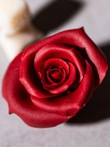 �A�[�����h�̕����g���č�����o��(�摜��:���J�쌒������ @kenta_sucretier) 