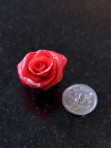 �����ō����1�~�ʃT�C�Y�̃o��(�摜��:���J�쌒������ @kenta_sucretier) 