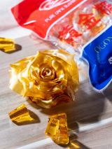 �������ō���������̃o��(�摜��:���J�쌒������ @kenta_sucretier) 