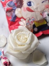 �~���L�[4���ō�����o��(�摜��:���J�쌒������ @kenta_sucretier) 