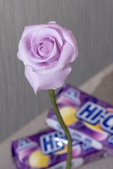 �n�C�`���[�ō�����o��(�摜��:���J�쌒������ @kenta_sucretier) 