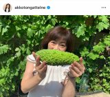 {qu䂪Ƃ̃S[v (ʐ^̓CX^O @akkotongattelne ) 