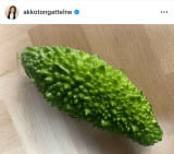 {quS[n!v (ʐ^̓CX^O @akkotongattelne ) 