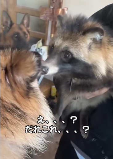 ߂Ď̎p茩߂Ɓc(摜@second.peace.0707) 