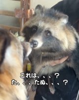 Ăю̎pɂт!āc(摜@second.peace.0707) 