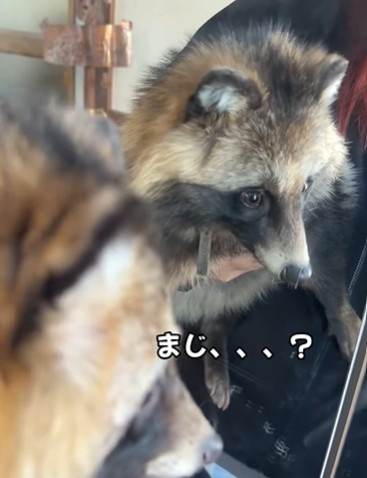 󂯓Ȃ\Ɂc(摜@second.peace.0707) 