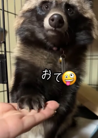 �ی쌢�ƈ�������ǂ�͂�����ł��邻���I�i�摜�񋟁�second.peace.0707�j 