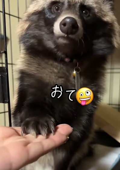 ی쌢ƈǂ͂ł邻!(摜@second.peace.0707) 