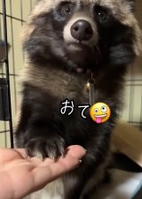 ی쌢ƈǂ͂ł邻!(摜@second.peace.0707) 