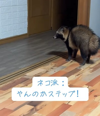 L̂悤ɁûXebvv!(摜@second.peace.0707) 