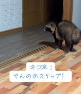 L̂悤ɁûXebvv!(摜@second.peace.0707) 