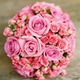 �wTHE �J���I�P���o�g���x�S���{��w���̂��܉������o�g�̔o�D�A�����𔭕\�@�Γc�ʉā��n�Ӑ��l�A�K��2�V���b�g�� 