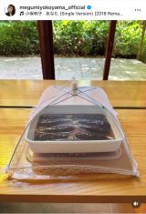 R߂݁uwa̐Hx̌i AႢ܂?v(ʐ^̓CX^O@megumiyokoyama_official ) 