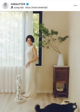 얢qufGȎʐ^BĂ炢܂v(ʐ^̓CX^O@mikko1104 ) 