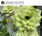 ���z�T�q �u�����̂Ƃ���A�������C�����������炩�A�Ǐ��ɖv�����Ă��܂��āv�i�ʐ^�̓C���X�^�O������nakagoshi_noriko.official���j 