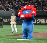 EƂ~N~N=wTg[ h[}b`2025xOPZj[&n (C)ORICON NewS inc. 