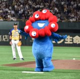 wTg[ h[}b`2025xOPZj[&nɓoꂵ~N~N (C)ORICON NewS inc. 