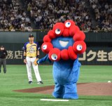 wTg[ h[}b`2025xOPZj[&nɓoꂵ~N~N (C)ORICON NewS inc. 